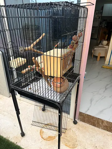 Bird cage