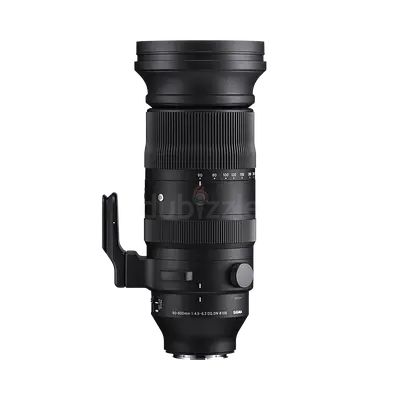 Sigma 60-600mm f/4.5-6.3 DG DN