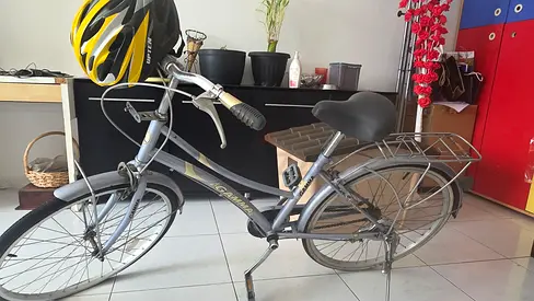 Bicycle lady bird