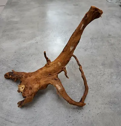 Driftwood Piece - Medium Size