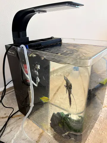 Fish tank