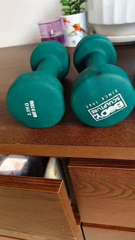 Dumbell set - Light Home Weights