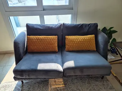 Grey Velvet 2-Seater Sofa with cushions