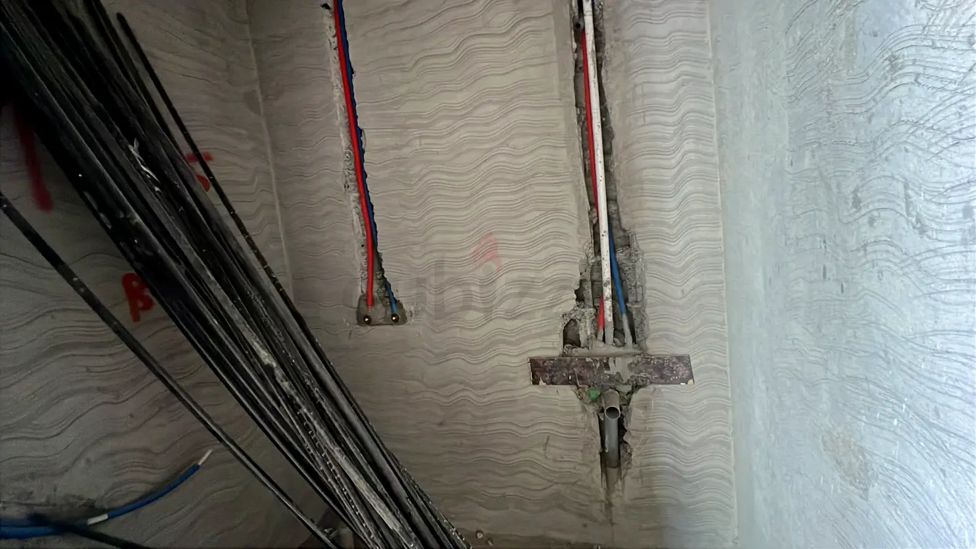 DPV_View_Image_4