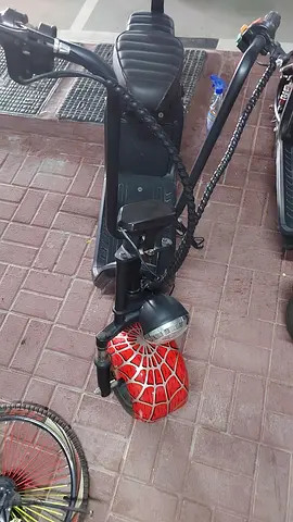 Scooter Crowny