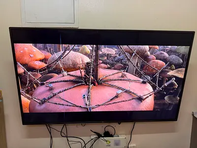 LG Wall Mounted LED TV with Vertical Line