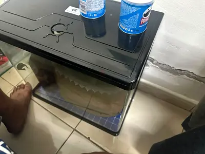 Small glass aquarium tank with lid - good condition