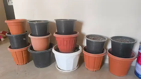 Plant pots with soil (Read description)