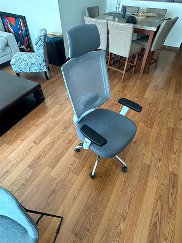 Ergonomic Mesh Office Chair with Headrest, Grey