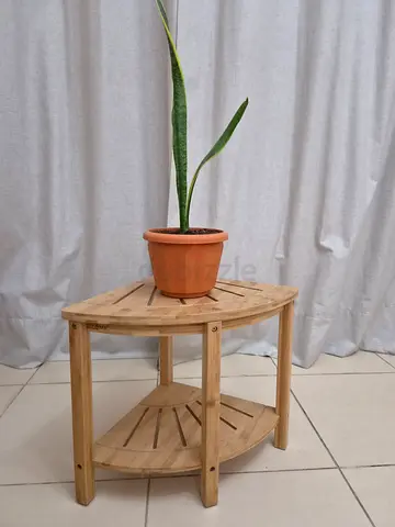 Small round wooden side table / plant stand - light oak
