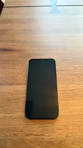iPhone 12 Pro Max 256GB - Good Working Condition (Pacific Blue)