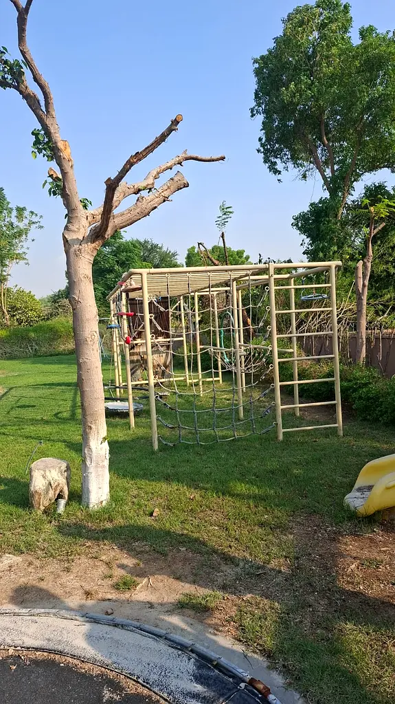 DPV_View_Image_1