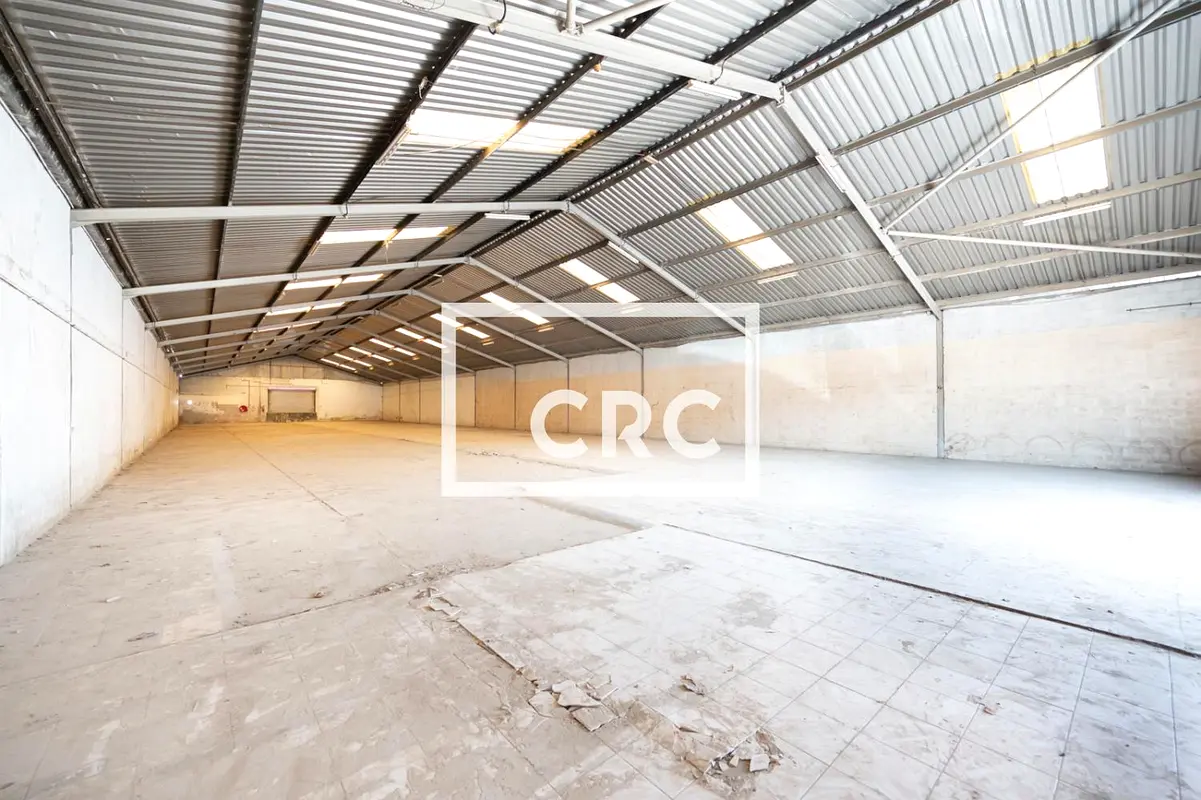 gallery-image