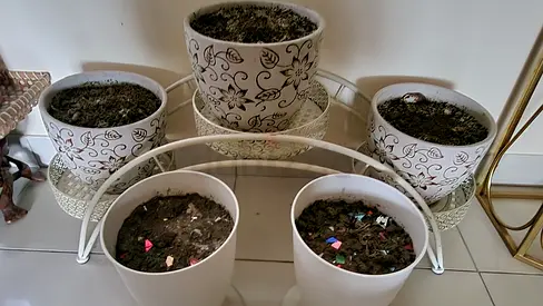 Set of 5 decorative white plant pots with metal stand — used