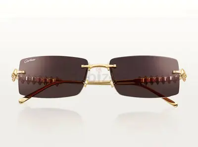 Original New Cartier Sunglasses - Clash de Cartier