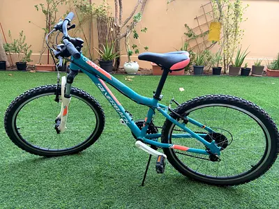 Silverback 24-inch Mountain Bike — Good Condition, Well Maintained