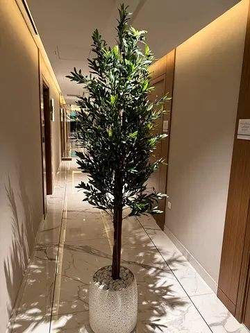 Tall Artificial Olive Tree in Decorative Pot