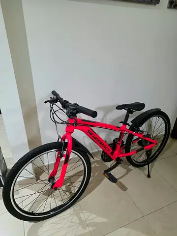 Silverback bicycle for sale , Good Condition