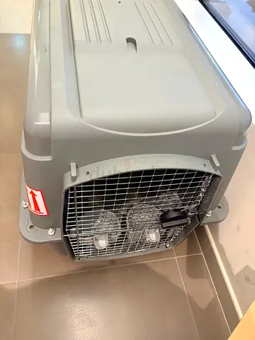 Large Grey Pet Carrier / Crate - Hard Plastic, very Good Condition