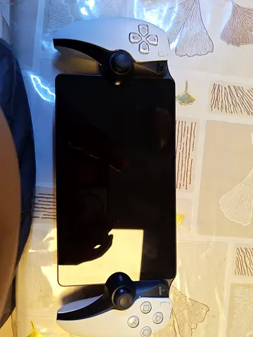 PS5 portal