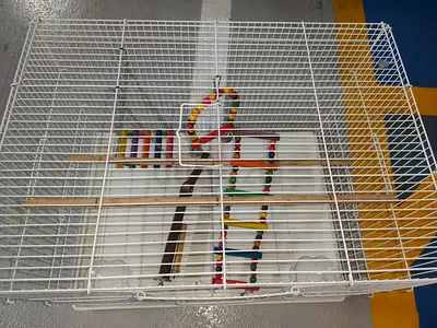 White bird cage with perches and toys - good condition