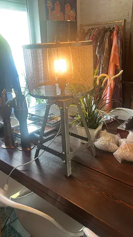 Industrial Mesh Table Lamps - Vintage Loft Style (set of two)