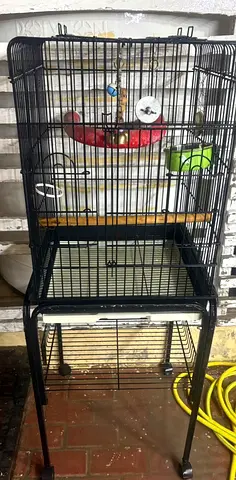 Birds Cage