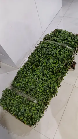 Artificial Green Hedge Mat / Vertical Garden Panel - Roll