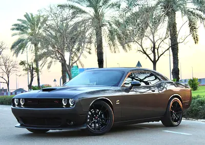 AVAILABLE! Ready to Drive! 2019 Dodge Challenger R/T Scat Pack 6.4L V8 American Specs