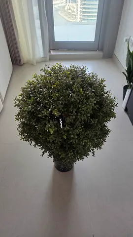 Artificial topiary ball in pot — brand new from plants.ae