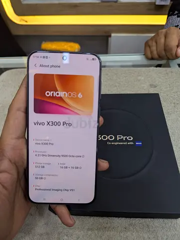 Vivo X 300 Pro 512GB
