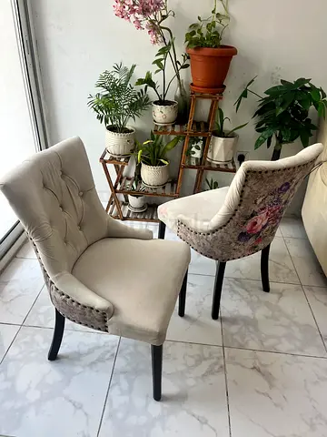 Cushioned Chairs