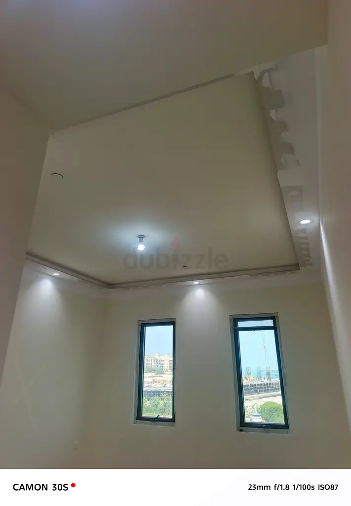 DPV_View_Image_2