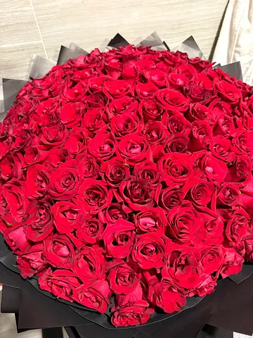 Luxury Real Red Rose Bouquet – Approx. 100 Roses