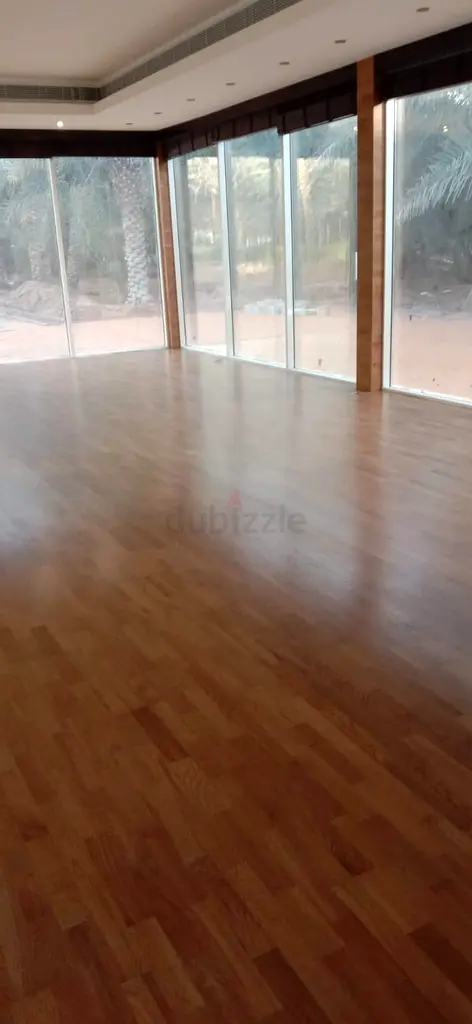 DPV_View_Image_0