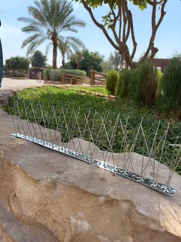 Stainless Steel Bird Spike Strip –1 mitre Pigeon Deterrent