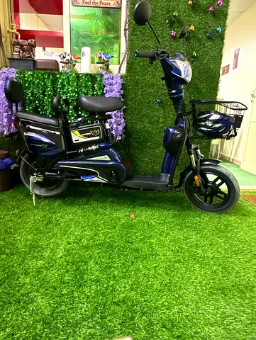 Brand new E-Bike