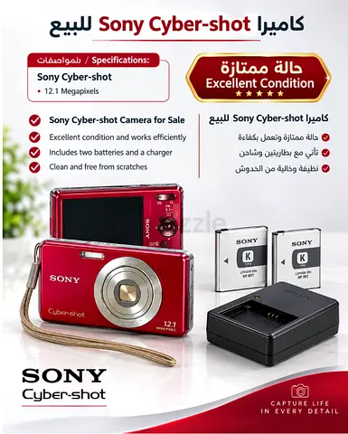 Sony Cyber-shot 12.1MP Compact Camera — Excellent Condition, Comes with 2 Batteries & Charger