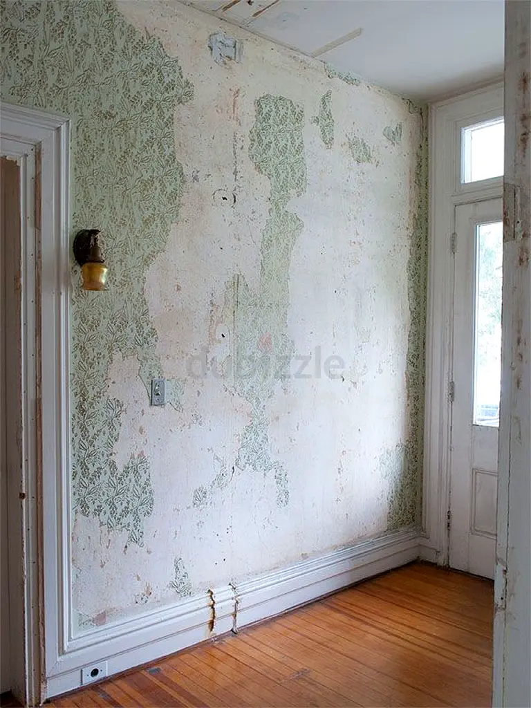 DPV_View_Image_1
