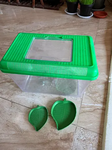 Small plastic terrarium/bug habitat with two leaf dishes - good condition