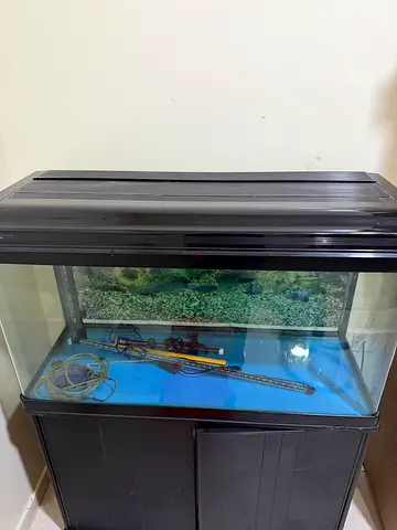 Large Glass Fish Aquarium Tank with Stand – Good Condition