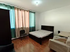 Spacious Fully Furnish Private Room available for rent in peaceful positive environmen