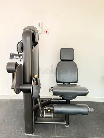 Technogym leg extension