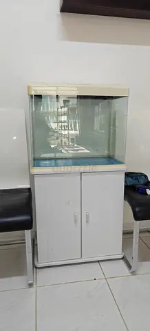 Glass aquarium with cabinet stand - 60cm (used)