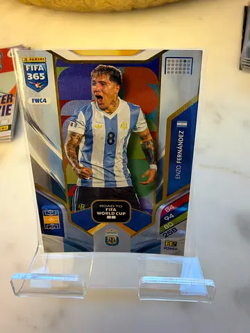 Panini FIFA 365 Enzo Fernández Trading Card in Protective Case
