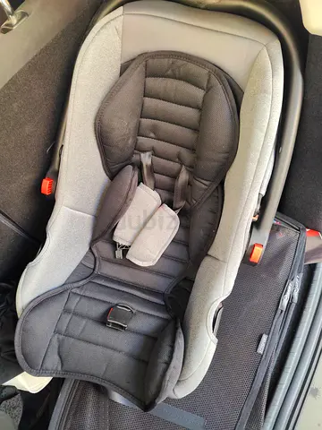 Infant car seat carrier with removable liner — good condition