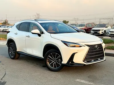 2025 Lexus NX 350 Premium - EXCELLENT CONDITION