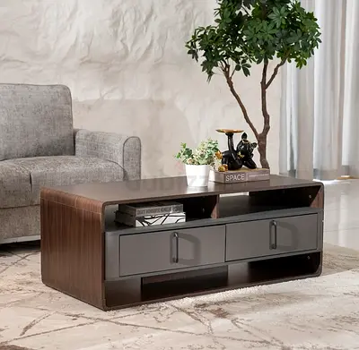 Modern low-profile wooden coffee table with storage drawers