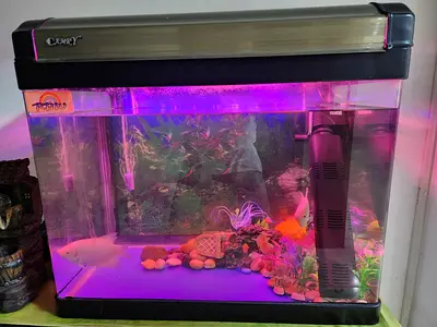 Used 40-50L Fish Aquarium Tank with Filter and LED Light