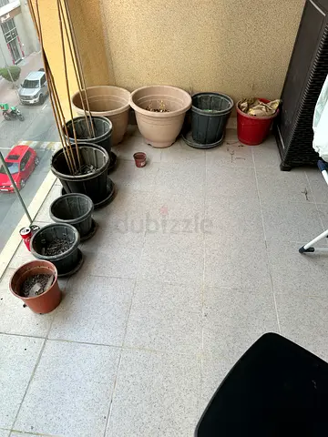 10 Plastic flower pots